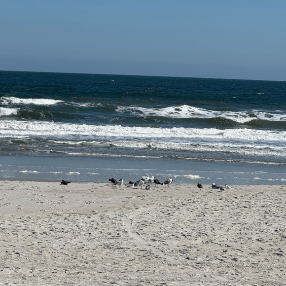 Meet your Posher, Monique - Picture 7 of 10